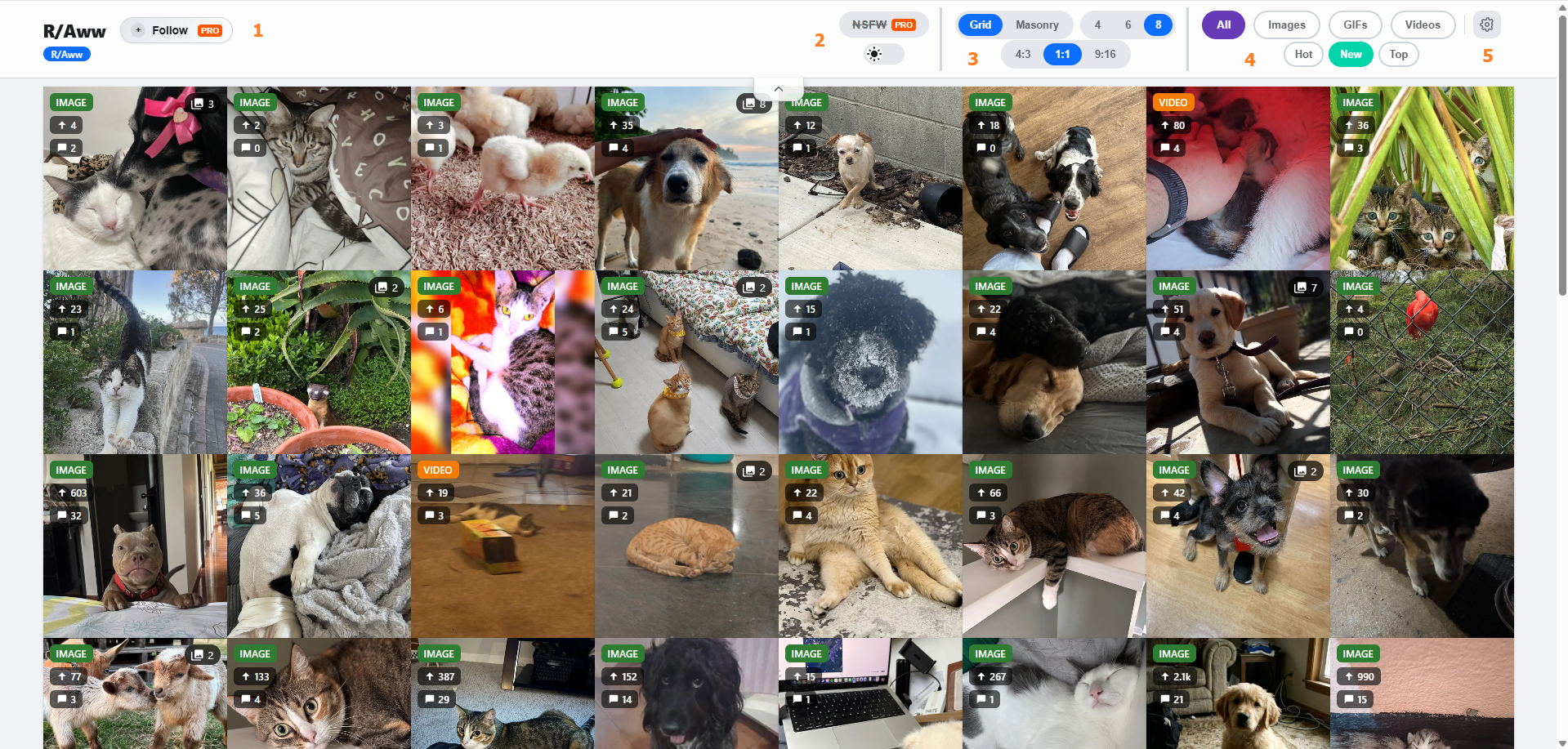 Browse the Gallery